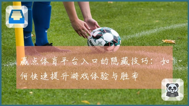 赢点体育平台入口的隐藏技巧：如何快速提升游戏体验与胜率