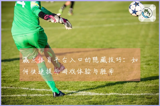 赢点体育平台入口的隐藏技巧：如何快速提升游戏体验与胜率